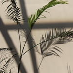 New SCOR digital standard for COVID-19