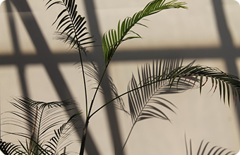 New SCOR digital standard for COVID-19